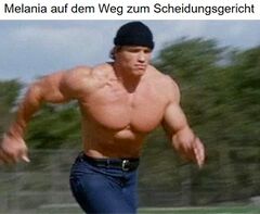 Rennender Arnold Schwarzenegger meme #1
