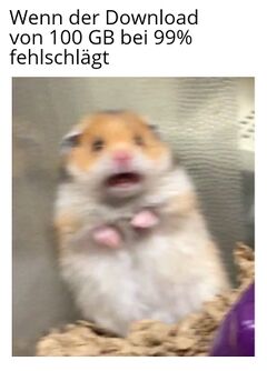 Scared Hamster meme #4
