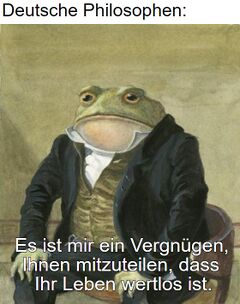Oberst Kröte meme #4