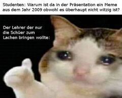 Weinende Katze, die den Daumen hochhebt meme #1